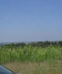 Vendita Agricolo in Via Campana