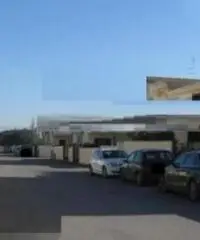 Lavinio-Lido di Enea: Vendita Villa in Via Miglioramento