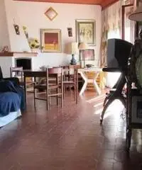 Lido Dei Pini: Vendita Villa in Via delle Azalee