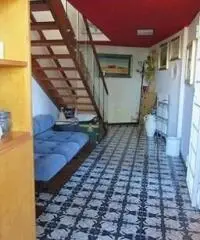 Lido Dei Pini: Vendita Villa in Via delle Azalee