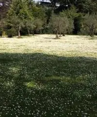 Rif: 365 - Villa in Vendita a Velletri