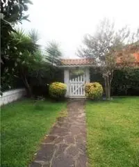 Rif: t14 - Villa in Vendita a Ariccia