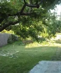 Rif: t395 - Appartamento in Vendita a Albano Laziale