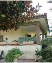 Tor San Lorenzo: Vendita Villa in Via Brenta