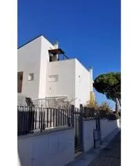 Vendita Bilocale in Viale Tito Livio