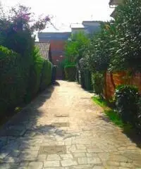 Vendita Trilocale in Viale delle Bougainvillae