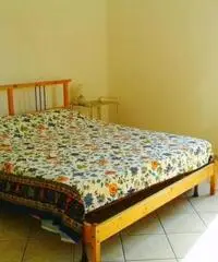 Vendita Trilocale in Viale delle Bougainvillae