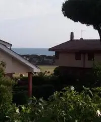 Vendita Trilocale in Viale delle Bougainvillae