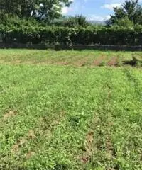 Vendita Monolocale in via cupa baldini