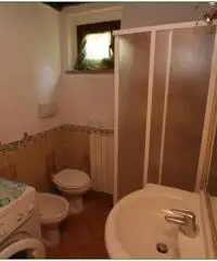 Appartamento in vendita a Radicondoli 70 mq  Rif: 451883