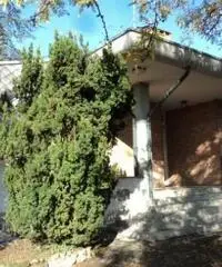 Colline Alessandria Villa con terreno 84-07-16