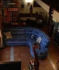 APPARTAMENTO di 4 vani e di 110 mq (ANCONA - ripe) rif. VND 5