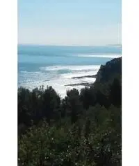 Vendita Villa in Via Mortarolo