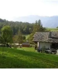 Vendita Trilocale in Frazione Eresaz, -1