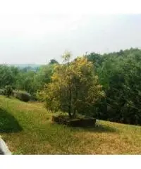 Rif: 877 - Villa ristrutturata con ottime finiture