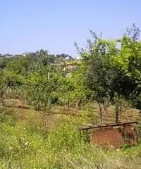 Vendita Casa indipendente da 123456789mq con garage