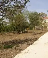 Vendita Casa indipendente da 11111111mq