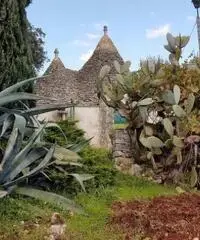 Vendita Villa in Strada Comunale Pentimelle