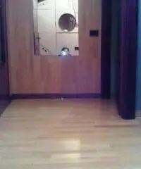 Vendita appartamento mq. 90 - Valbondione