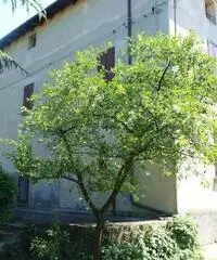 Indipendente in vendita a Monte San Pietro