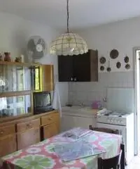 Trilocale in vendita a Monterenzio