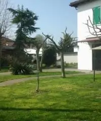 Vendita casa indipendente mq. 187 - Zona San Pietro Capofiume