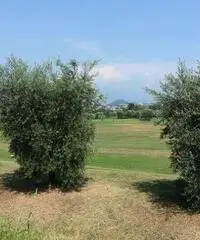 Soiano del Lago vendesi villa a schiera 4 vani 110 Mq Soiano del Lago vendesi villa a schiera 4 vani 110 Mq
