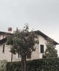 V000889 - Soiano del lago