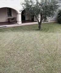 V000889 - Soiano del lago