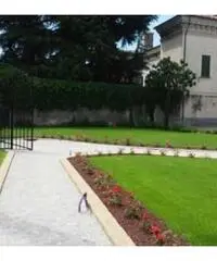 Vendita Bilocale in Viale Conti Emili