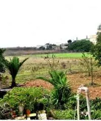 Vendita Casa indipendente in Via Siracusa, 81 Vendita Casa indipendente in Via Siracusa, 81