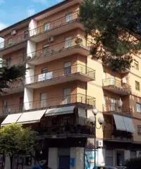 Commenda: Vendita Quadrilocali in Via Don Giovanni Minzoni Commenda: Vendita Quadrilocali in Via Don Giovanni Minzoni