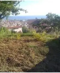 Vendita Villa in via Pezzotti, 6