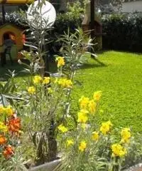 APPARTAMENTI - INGRESSO INDIPENDENTE - CAPRAIA E LIMITE