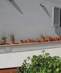 Appartamento in vendita a Empoli 55 mq  Rif: 171620