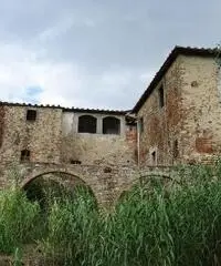 COLONICHE - COLONICA - FIRENZE