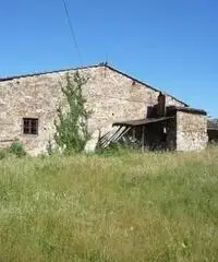 COLONICHE - COLONICA - FIRENZE