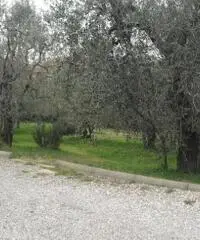 Terratetto in vendita a VILLANUOVA - Empoli 135 mq  Rif: 310014