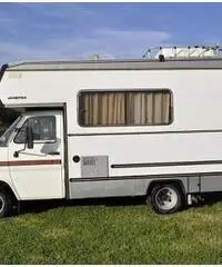Camper laika