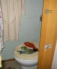 Svendo Roulotte con Pre-Ingresso e servizi per sei a 70 MT.dal mare.