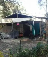Piazzola completa
