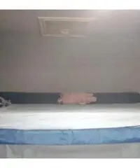 Mc louis 560 2001 Mc louis 560 2001