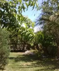 Apprtamento con giardino
