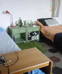 BELLA STANZA DOPPIA TRA COLOSSEO E SAN GIOVANNI BELLA STANZA DOPPIA TRA COLOSSEO E SAN GIOVANNI