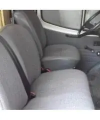Camper Rimor koala