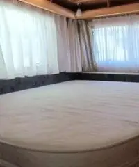 FENDT SAPHIR 550 TFK rif. 7030192