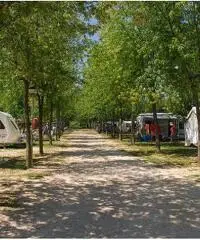 Piazzola Annaule 2017 Euro 2.350