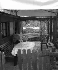 Roulotte detlheff mt4.75 piu preingresso