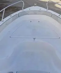 Ranieri Voyager 19