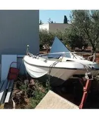 Barca a motore